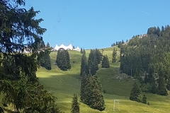 IMG-20170620-WA0015
