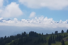 IMG-20170620-WA0016